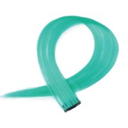 Turquoise, 50 cm - gekke kleurenclip aan